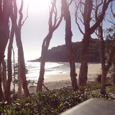 Profile Picture of Mark Rowsell-Turner (@livelovenoosa) on Twitter