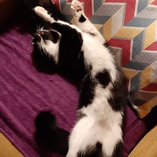 Profile Picture of Leesa Kennefick (@leesa.kennefick.3) on Facebook