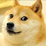 Profile Picture of Nathan Carraway (@shiersnow923391) on Instagram