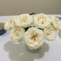 Profile Picture of Lan Châu (@lan-châu) on Quora