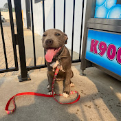 Profile Picture of Tristan Hanson (@ShyloFelix) on Youtube