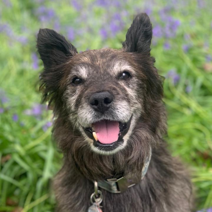 Corky McCorker - Tiktok Profile Picture of Corky McCorker (@corkymccorker) on Tiktok