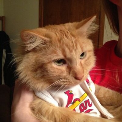 Profile Picture of Dawn Boyer (@dawnboyer22) on Twitter