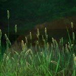 Profile Picture of Deborah Haley (@haleyc3074) on Instagram