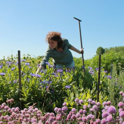 Profile Picture of Jacolien Cleveringa (@Bijenbrood) on Twitter