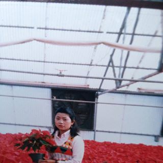 Profile Picture of Manh Saephanh (@manh.saephanh) on Facebook