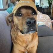 Profile Picture of Zach Allen (@zachallen9354) on Youtube