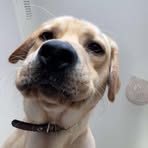 Profile Picture of Alysha Knight (@Alysha-Knight) on Facebook