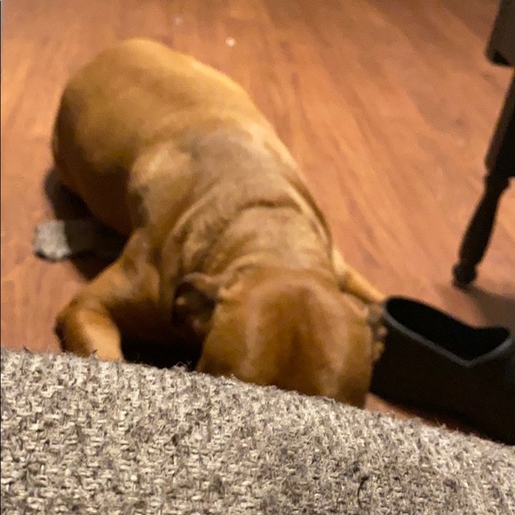 Profile Picture of Edward Barrett (@3dbarrett) on Poshmark