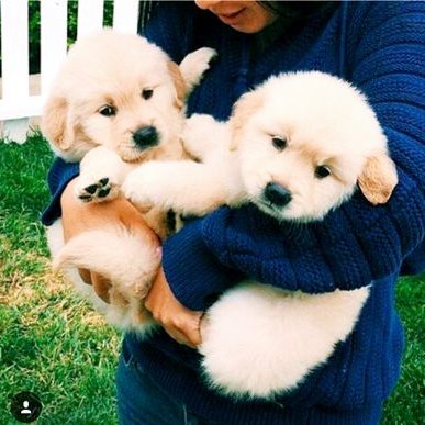 Profile Picture of Crystal Li (@Crystalxox12) on Twitter