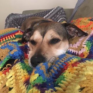 Profile Picture of Josh Henkle (@josh.henkle.75) on Facebook