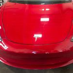 Profile Picture of Daniel Staley (@staleysdusttoglory) on Instagram