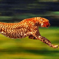 Profile Picture of Garrett Beals (@garrett-beals) on Quora