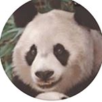 Profile Picture of adam_boyle_sikerler_ (@adam_boyle_sikerler_) on Instagram
