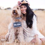 Profile Picture of A R I E L  R O U S H (@arielthegoldendoodle) on Instagram