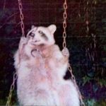 Profile Picture of Dustin Diaz (@dustin_diaz3) on Instagram