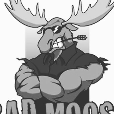 Profile Picture of Sam Bowler (@MooseTheSavage) on Twitter