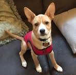 Profile Picture of Kelli Boyd (@kelli.boyd.94) on Facebook