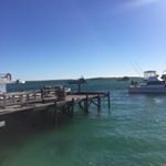 Profile Picture of patrick_.stephens (@patrick_.stephens) on Instagram