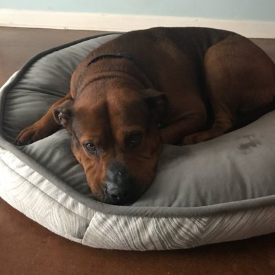 Profile Picture of Reyna Gonzalez (@reynagone) on Twitter