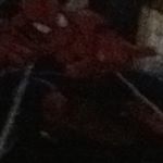 Profile Picture of Dylan robert laden schreiber (@dylan_schre215) on Instagram