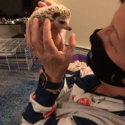 Profile Picture of Debbie & Danny Clough (@DebbieDannyClo1) on Twitter