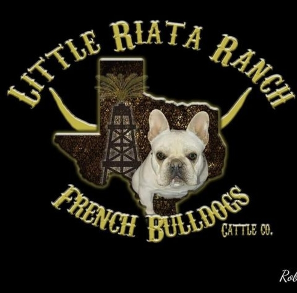 Profile Picture of Robin Parker (@robinparker4902) on Poshmark