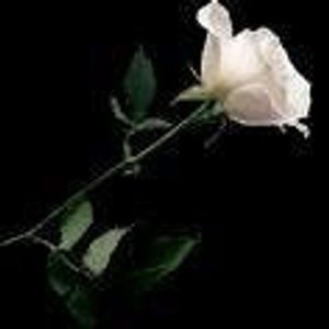 Profile Picture of Russian (@russianlily16) on Myspace