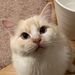 Profile Picture of Reem Hammad (@hammad3453) on Pinterest