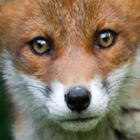 Profile Picture of Stuart Gamble (@stuart-gamble-7) on Quora