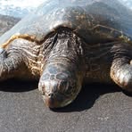 Profile Picture of Ronald Peplinski (@rpeplinski) on Facebook