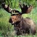 Profile Picture of Kevin Moose (@chipsandsparks) on Pinterest