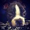 Profile Picture of Tracy Pitcher (@tracy.pitcher.568) on Facebook