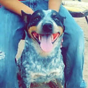 Profile Picture of Brian Limon (@brianlimon8637) on Youtube