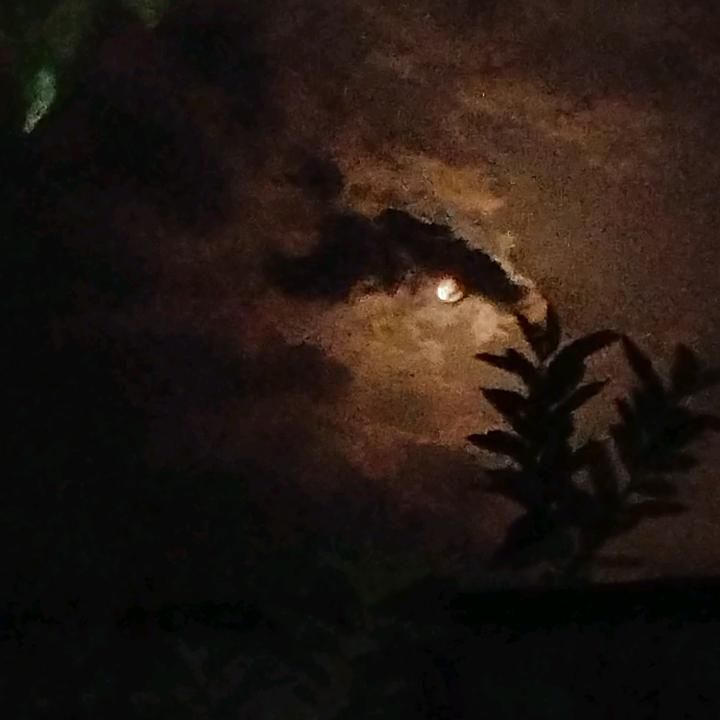 Profile Picture of JoshuaHughes (@othotnwok9f) on Tiktok