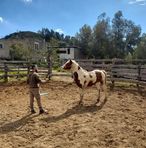 Profile Picture of Michele Froiio (@Michele-Froiio) on Facebook