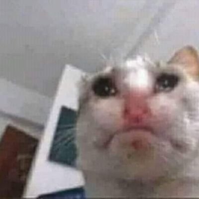 Profile Picture of Foko (@RetsamT) on Twitter