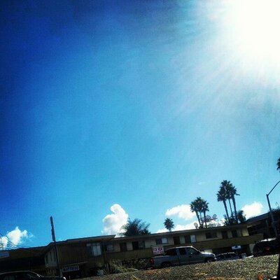 Profile Picture of Damian Curt (@DamianCurt547) on Twitter