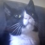 Marshall Dreyer - Facebook Profile Picture of Marshall Dreyer (@Marshall-Dreyer) on Facebook