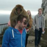 Profile Picture of Adam Conley (@adamfconley) on Instagram