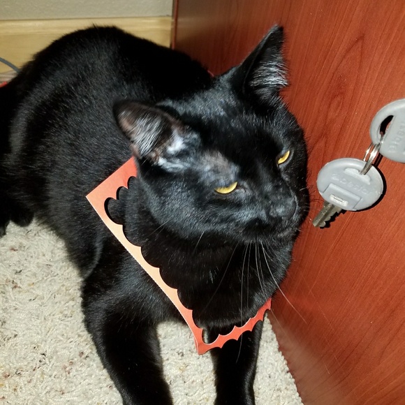 Profile Picture of Chrisy Boldra (@chrisy5616) on Poshmark