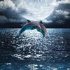 Profile Picture of Justin Tryon (@@justintryon06) on Tiktok