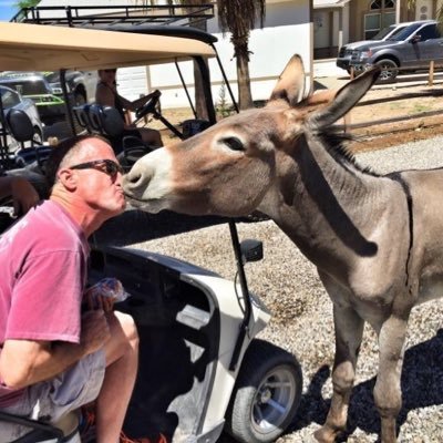 Profile Picture of Rick Williams (@RickWilliamsLV) on Twitter