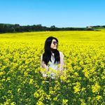Profile Picture of Michelle Hsieh (@yanzikinkikids) on Instagram