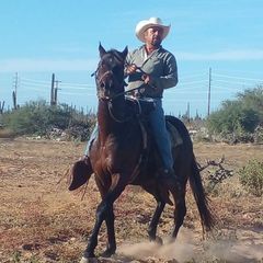 Profile Picture of Joel Echeverria (@joel.echeverria8) on Tiktok