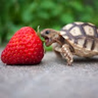 Profile Picture of Savannah Singleton (@savannah-singleton-17) on Quora