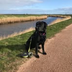 Profile Picture of Erik Schönbohm (@erik.schonbohm) on Facebook