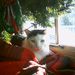 Profile Picture of Christine Ferraiuolo (@cferraiuolo) on Pinterest