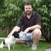 Profile Picture of Chris Gorman (@chris.gorman.9041) on Facebook