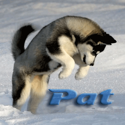 Profile Picture of Pat Hoyt (@patMayflower) on Twitter